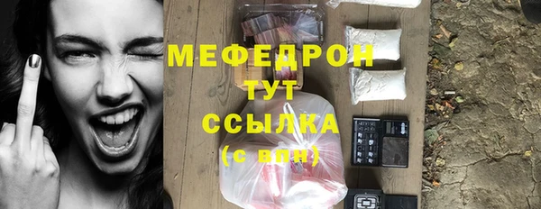 СК Алексин