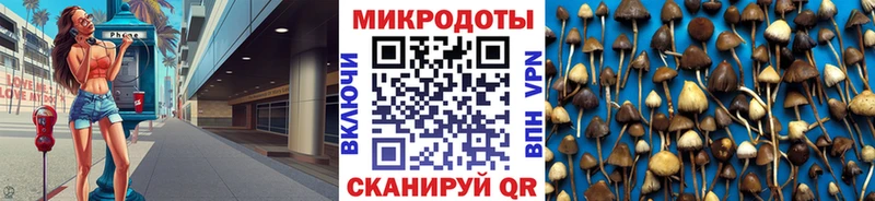 Галлюциногенные грибы GOLDEN TEACHER  Купить где  Слободской 